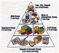 Food Guide Pyramid